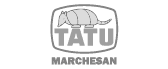 logo-tatu